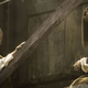 Image for article titled The 100 Most Popular io9 Posts of 2015